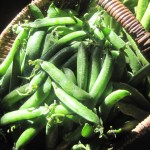 spring peas