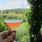 rose sangiovese