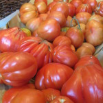 heirloom tomatoes