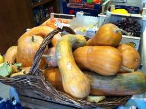 winter squash